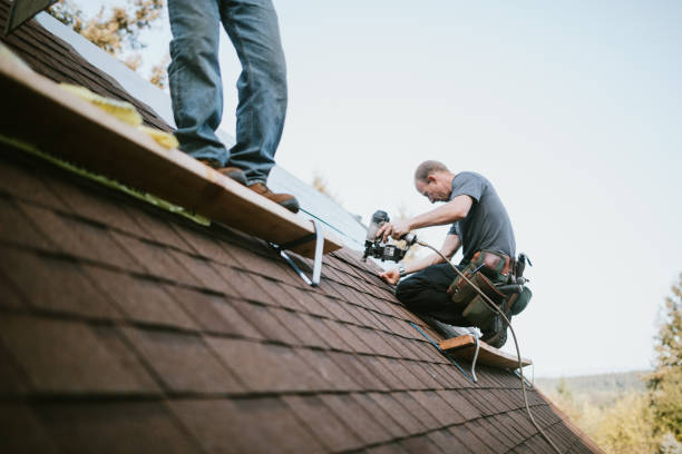 Roof Gutter Cleaning in Maiden, NC
